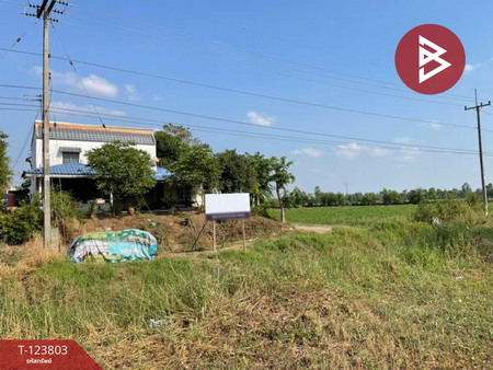 ��ɳ��š �� The Best Property Agent