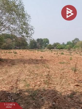 �͹�� �� The Best Property Agent