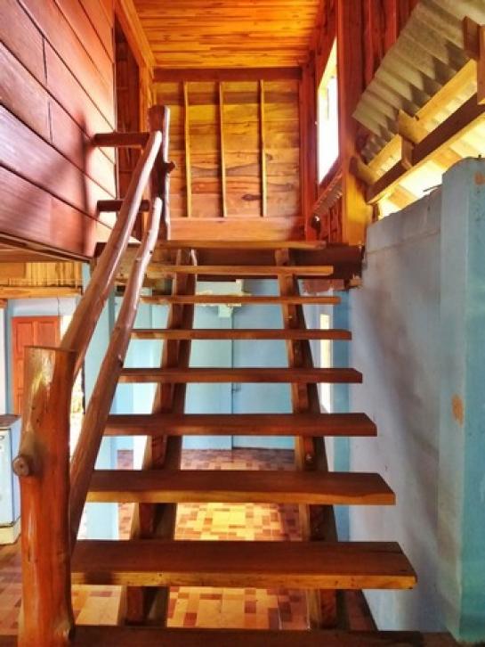 ��º�ҹ ��§��ǹ�����