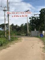 ��º�ҹ �Ҥһ�С�Ȣ�� 6,500 �ҷ