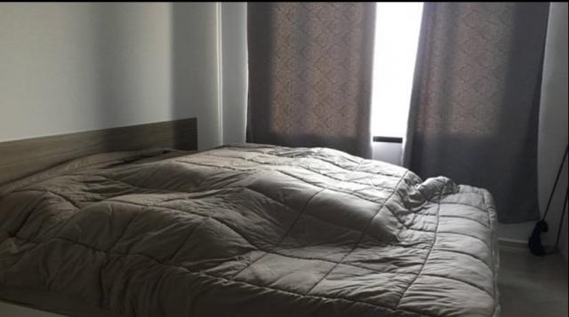 �͹����ͧ �� easythaihome