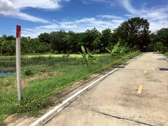 ���Թ �����