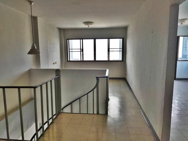 ��¤͹� �͹���ͧ��ا෾