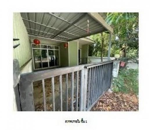 ������⾸� �� compos2566