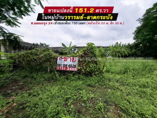 �Ҵ��кѧ �� lovethaihome101