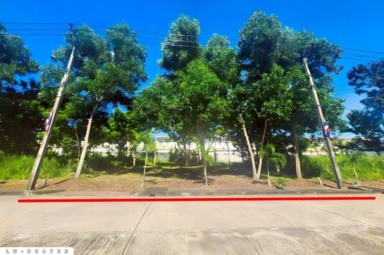 ���Թ ����ͧ