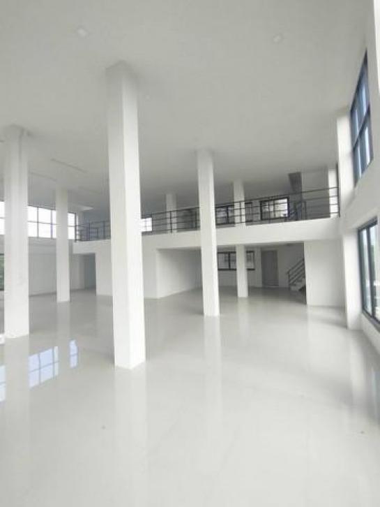 ����Ҥ�þҳԪ�� ˹ͧ�͡��ا෾