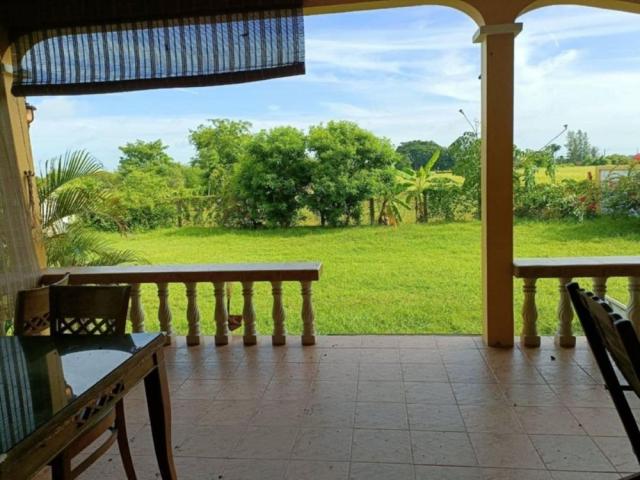 ��º�ҹ ������ ��¹ҷ