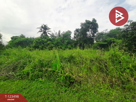 ˹ͧ�͡ �� The Best Property Agent