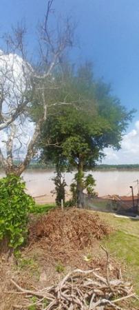 ���Թ ��� �觢��