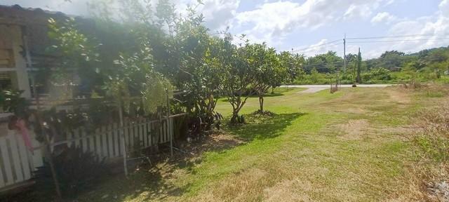 ��·��Թ ��§�ҹ ���