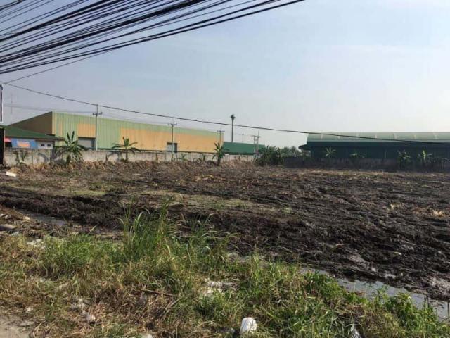 ที่ดิน 19 ไร่ ที่ดิน 19 ไร่