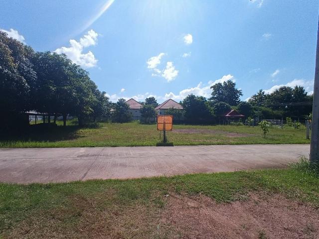 ���Թ���� �͹��