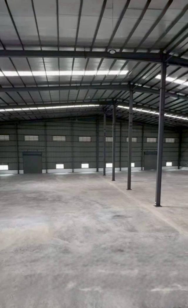 ��»����ҹ� �� 1000property