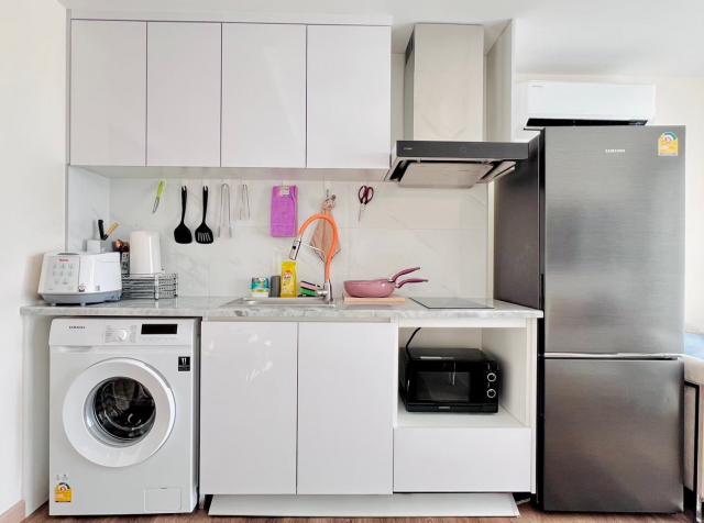 �͹������� �ѹ������§����