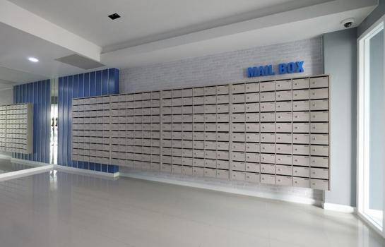 �͹������� �֧����