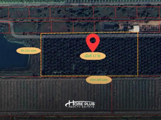 ���Թ ����ͧ