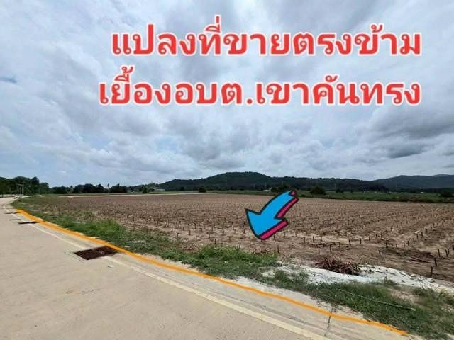 ที่ดิน 19 ไร่ ที่ดิน 19 ไร่
