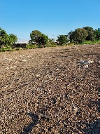 ���Թ�Դ���������� �չ����