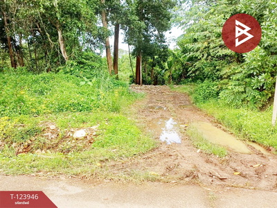 �ѹ����� �� The Best Property Agent