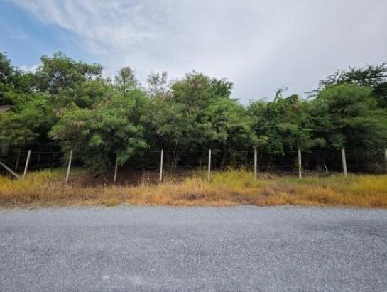 ��·��Թ �ҧ�͹