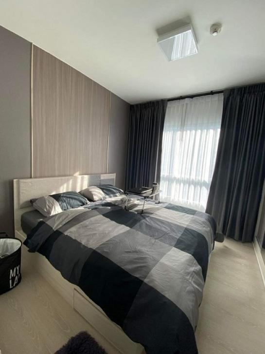 ��¤͹� ���źҧ�