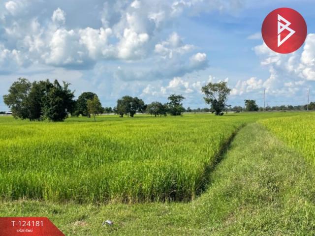 ������Թ��� �� The Best Property Agent