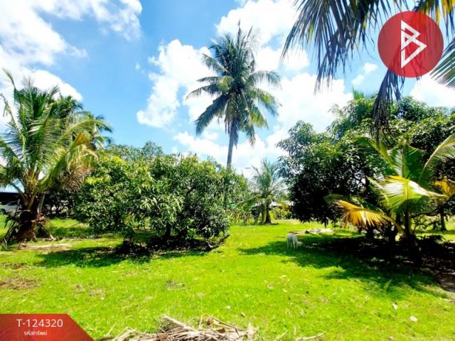 �ź��� �� The Best Property Agent