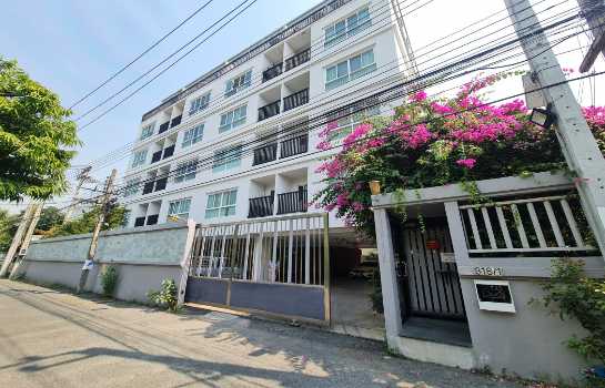 ;�����鹷��Ѳ��