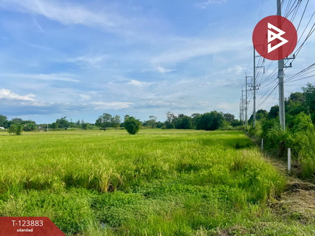 �ź��� �� The Best Property Agent