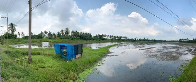 ���Թ ����ͧ