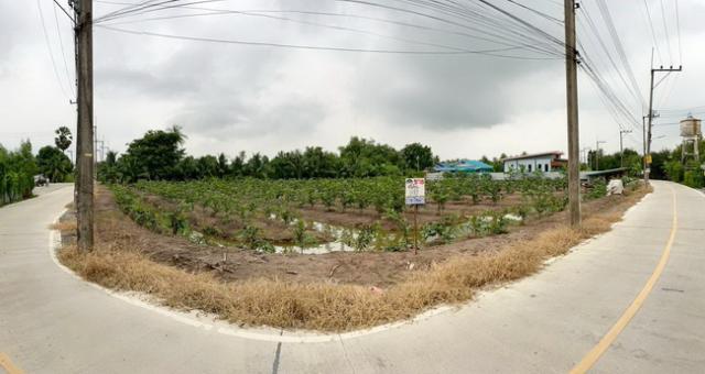 ���Թ ����ͧ