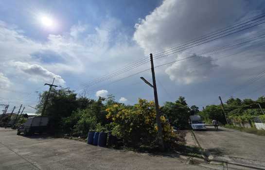 ���Թ ˹�ҵԴ���