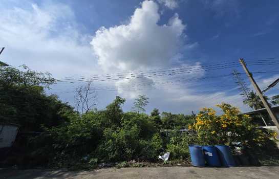 ��·��Թ ��з���ẹ��ط��Ҥ�