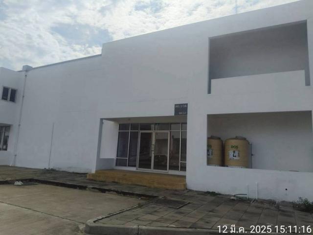 ⡴ѧ������ �ҧ�С� ���ԧ���