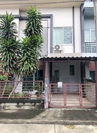 �ҧ� �� Nititut