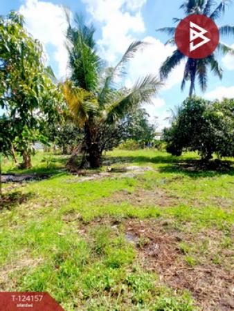 �ź��� �� The Best Property Agent