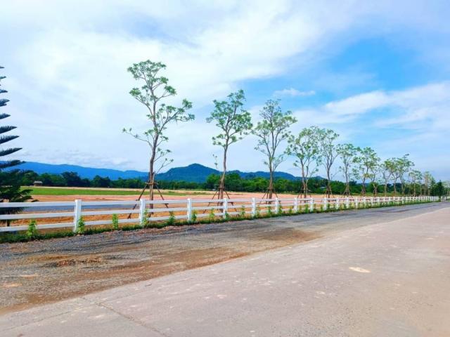 ���Թ ���ǹ ��ù�¡