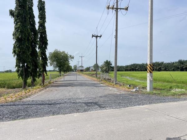 �ç�ҹ������ �ҧ��������� ���ԧ���