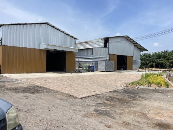 �ç�ҹ������ �ҧ��������� ���ԧ���