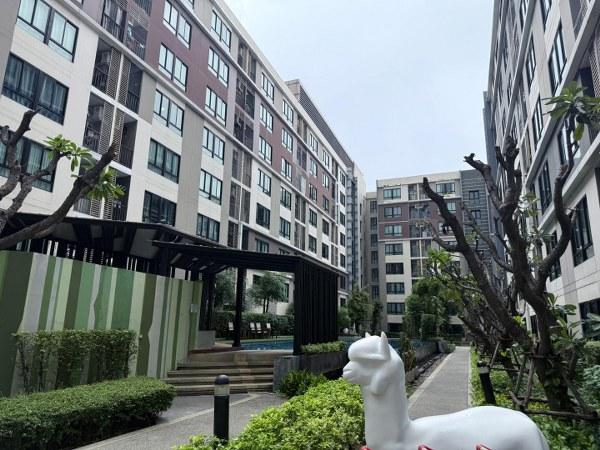 �͹ⴹ�û�� ���������