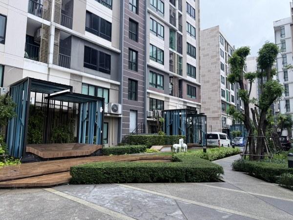 ��¤͹� �ط����� ��û��