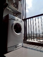 ������ �͹� 31.50 ���ҧ����