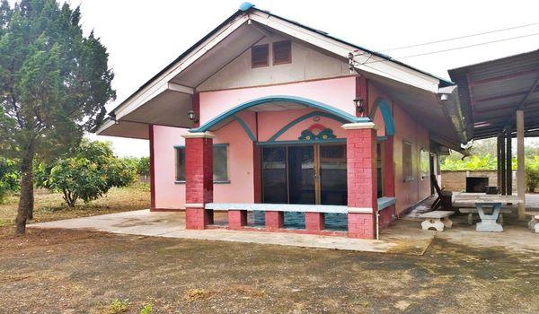 ��º�ҹ �ҧ��§����