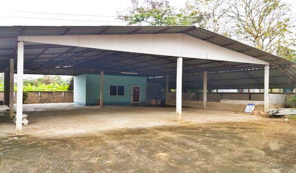 ��º�ҹ �ҧ ��§����