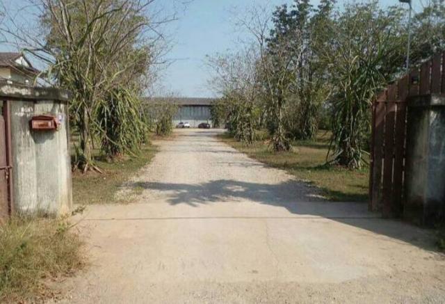 ⡴ѧ �Ҫ����