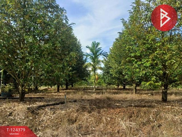 ���Թ ���ǹ �����¹