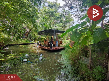 ���Թ�������觻�١���ҧ ���ͧ��û��