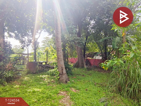 ���Թ�Ҥһ����Թ ���ͧ��û��