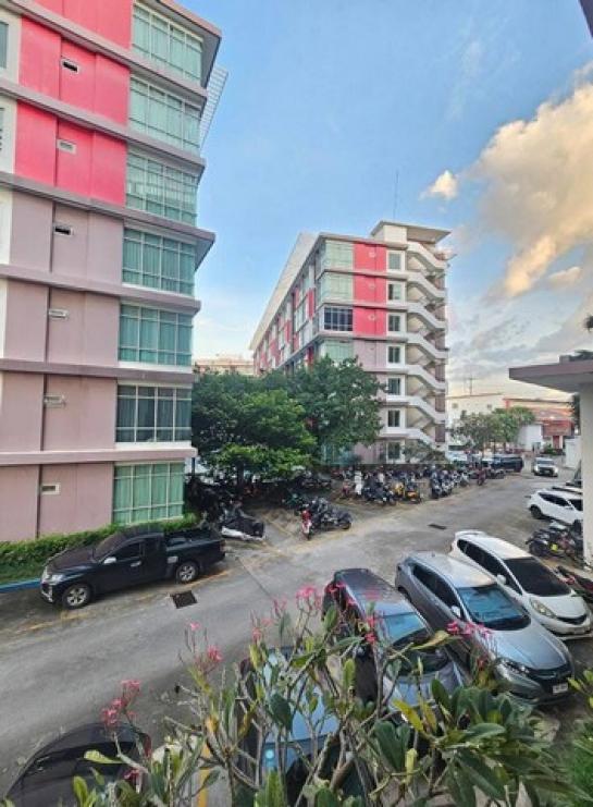 �͹ⴺҧ���ا �ź���